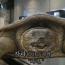 아베크스튜디오 이미지