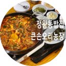 큰손 오리농장 이미지