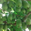 만선농장 이미지