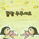 오밤중 Daum카페