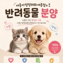 두둥이헤어