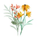 산삼주제관 이미지