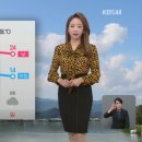 어제모했어슈가왁싱