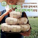 [광고일기 #32] 한국 맥도날드 : 찐 한국인 입맛을 위한 창녕 갈릭 버거 출시!