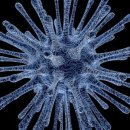 한신아파트 이미지