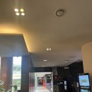 제주베이스캠프 | 제주 혼여행, 여자혼자 제주여행 | 곽지해수욕장, 메종글래드제주,제주 리리스, 덤불펍, 베이스캠프...