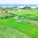 유리 태양광발전소 이미지