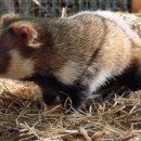 gc-camera-020 이미지