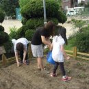 신관초등학교 이미지