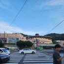 휴먼하우스 | 2026년 발레축제 낫아웃 / 휴먼 관람 후기 예술의전당 자유 소극장