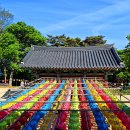 송이밸리자연휴양림 이미지