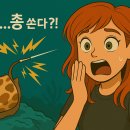 바다네일 - 양산시 금오12길 8-11 | 바다네일