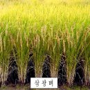 통나무이야기 네이버블로그