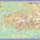 뉴천리향 이미지