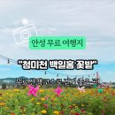 일죽 청미천 이미지