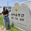 교동뱅상