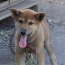 두목농장 이미지