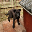 광주TNR동물병원(초월) 이미지