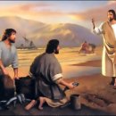 클레시스(klesis) 이미지