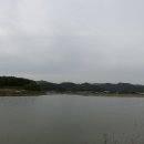 부제리 티스토리