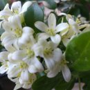 오늘의 선물 이미지