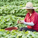 포토갤러리 이미지