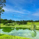 다옴골프연습장 이미지