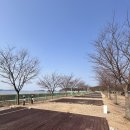 [대부도] 오캠핑장 - 바다 옆에서 힐링하는 감성 캠핑! 🌊