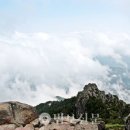 10. 백무동(百巫洞)의 무(巫)와 무(武) 이미지