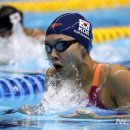 배영텔레콤 이미지