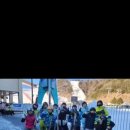 용인대 미르 태권도장 이미지