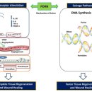 셀린피부과의원 이미지