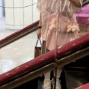 멍구야 놀자 이미지