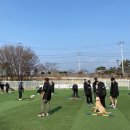 아산 반려견 교육센터 이미지