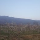 시골두부 이미지