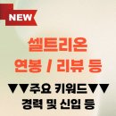 조선대학교 임상약학대학원 | 셀트리온 채용 자기소개서 서류 면접 후기 연봉 초봉 복지 등 간단 정리 (+팁 포함)