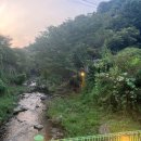 포천해신탕 이미지