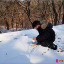 사계절을담다 이미지