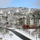 아이홈카