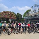 명태덕장 이미지