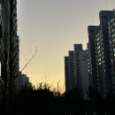 [2月] 아픔, 슬픔, 외로움 잊게
