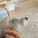 소중한eye 이미지