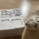 해피아지 이미지