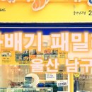 꽈배기패밀리