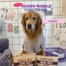 보스독 | [보스독] 소화가 잘되는 강아지동결건조사료