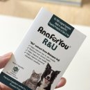 (주)알앤유 | 반려동물 피부영양제 고민 끝! 비숑견에게 딱 맞는 아나포유 알앤유 피모 영양제 후기