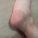 아름올리 이미지