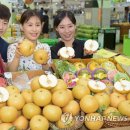 화산마트 이미지