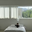 헬로, 멜로 | 헬로멜로 돌상 후기 ♥ 백일상 돌상 파티테이블 대여업체 헬로멜로 ♥