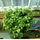 크로버유통 이미지